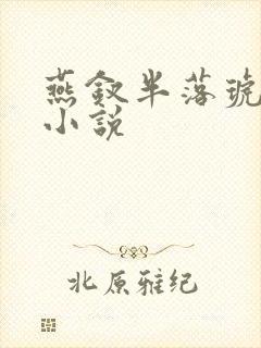 燕钗半落琥珀糖小说