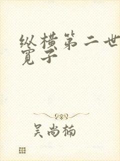 纵横第二世界 宽子