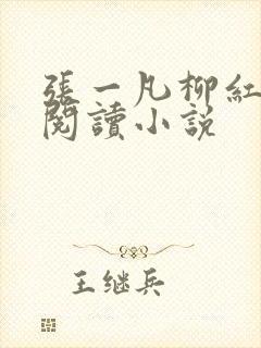 张一凡柳红免费阅读小说