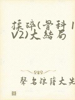 揉碎(骨科 1V2)大结局