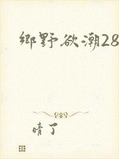 乡野欲潮28章