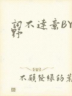 词不达意BY咩野