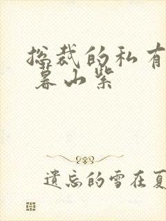 总裁的私有宝贝 暮山紫