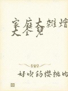 家庭大杂烩小说大全儿