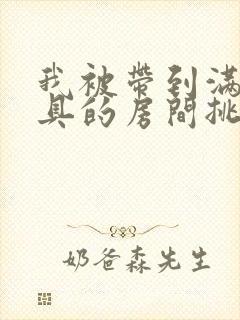 我被带到满是玩具的房间挑调作文