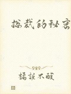 总裁的秘密情人