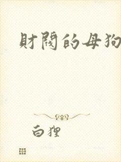 财阀的母狗们
