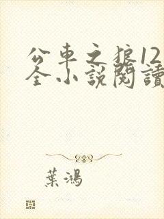公车之狼12集全小说阅读