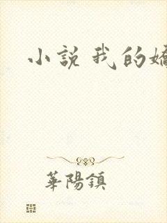 小说 我的娇妻