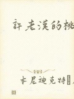 许老汉的桃花运