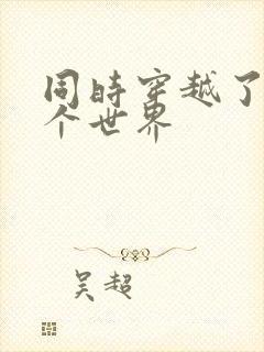 同时穿越了99个世界