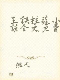 王铁柱苏小汐小说全文免费阅读最新章节