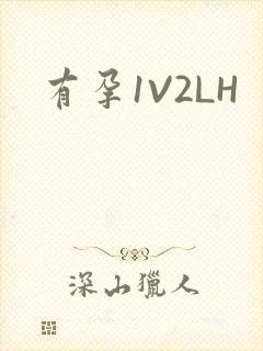 有孕1V2LH