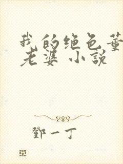 我的绝色董事长老婆 小说