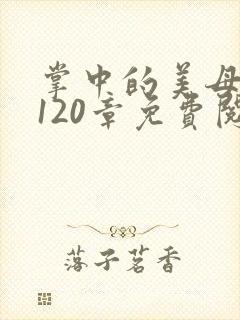 掌中的美母版主120章免费阅读
