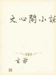 文心阁小说