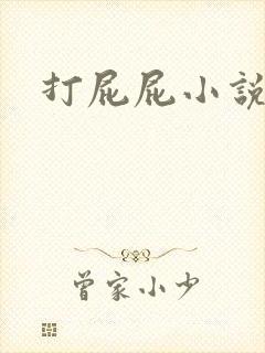 打屁屁小说