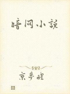 暗网小说