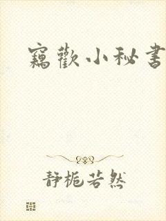 窃欢小秘书