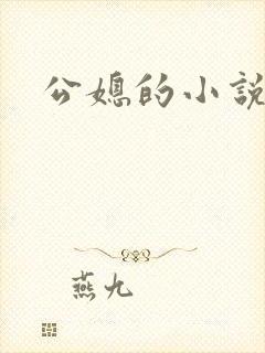 公媳的小说