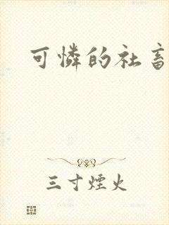 可怜的社畜小说