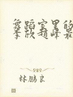 舞蹈室里的景色李欣赵峰最新章节