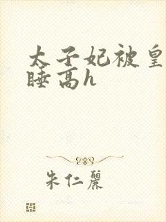 太子妃被皇上强睡高h