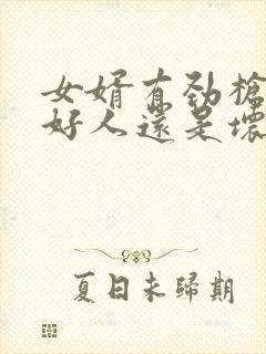 女婿有劲枪枪是好人还是坏人