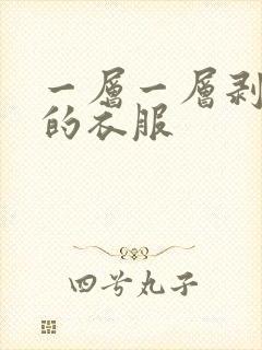 一层一层剥开你的衣服