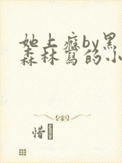 她上瘾by黑暗森林写的小说免费阅读无弹窗