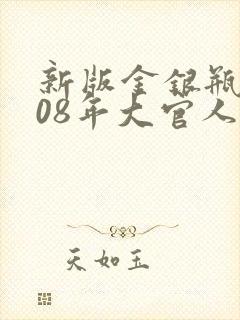 新版金银瓶2008年大官人