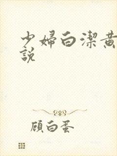 少妇白洁黄色小说