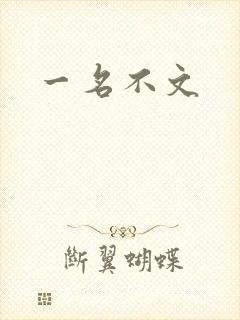 一名不文