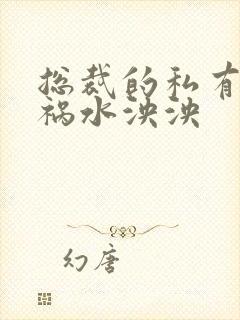 总裁的私有宝贝祸水泱泱