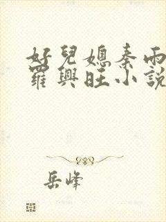 好儿媳秦雨罗明罗兴旺小说