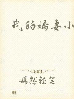 我的娇妻小说