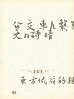 公交车h系列辣文n诗晴