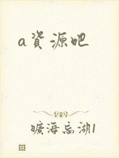 a资源吧