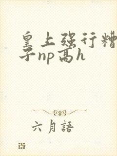 皇上强行糟蹋太子np高h