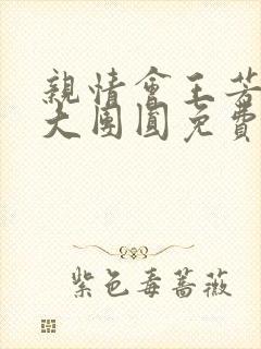 亲情会王芳高敏大团圆免费阅读