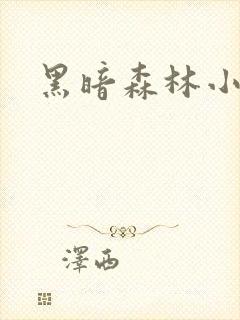 黑暗森林小说