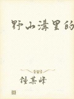 野山沟里的村庄