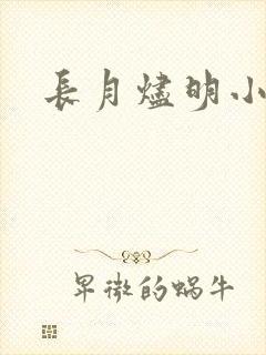 长月烬明小说