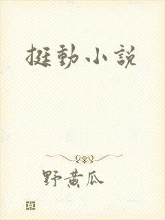 挺动小说