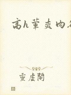 高h荤爽肉欲文