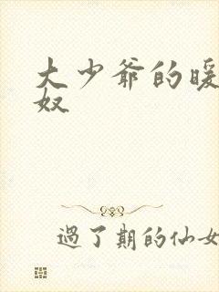 大少爷的暖床小奴