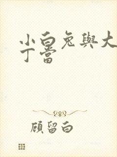 小白兔与大灰狼丁当