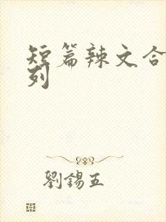 短篇辣文合集系列