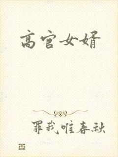 高官女婿