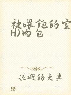 被喂饱的室友(H)肉包